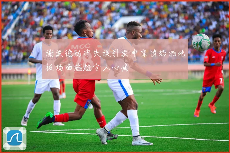 谢泼德防守失误引发申京愤怒拍地板场面尴尬令人心痛