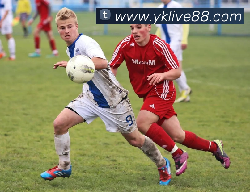 App Interface Preview