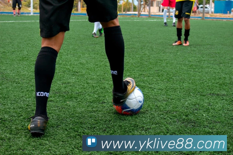 云开体育APP 封面图